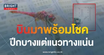 เลขเด็ด หวยแมงปอ 16 9 66-1-min