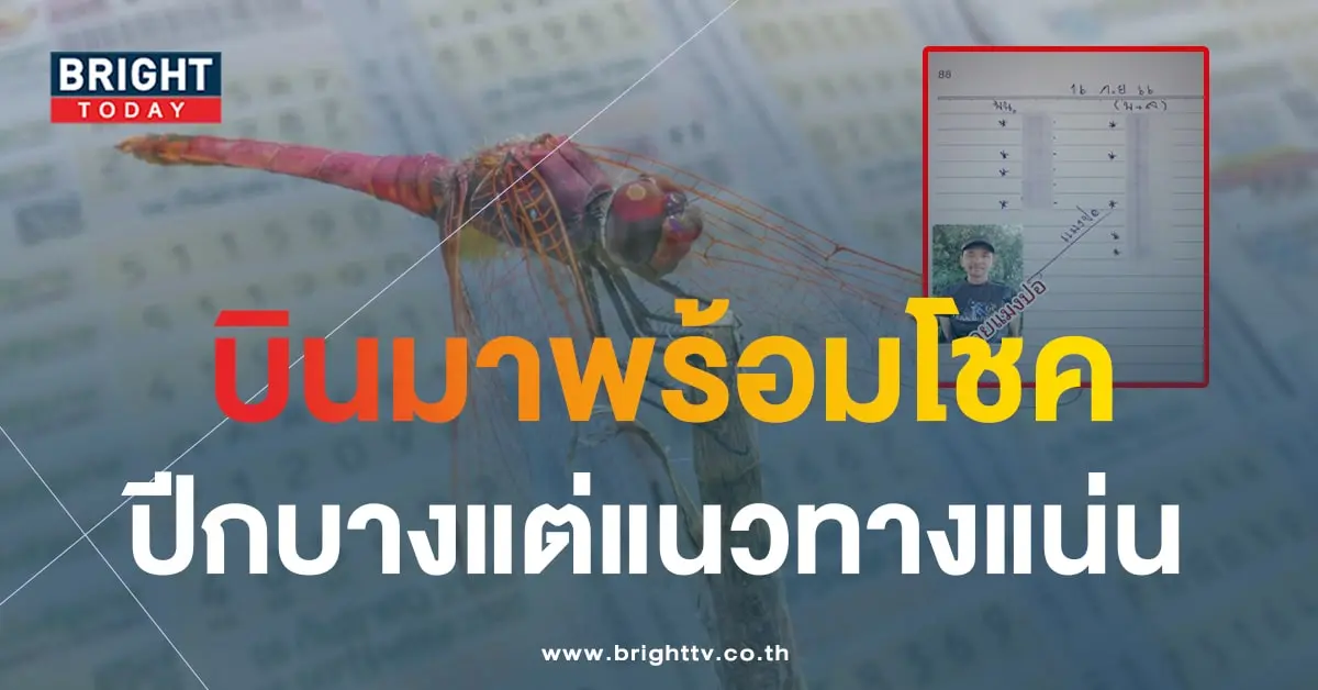 เลขเด็ด หวยแมงปอ 16 9 66-1-min