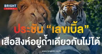 หวยสิงห์เหนือเสือใต้ 16 9 66-min