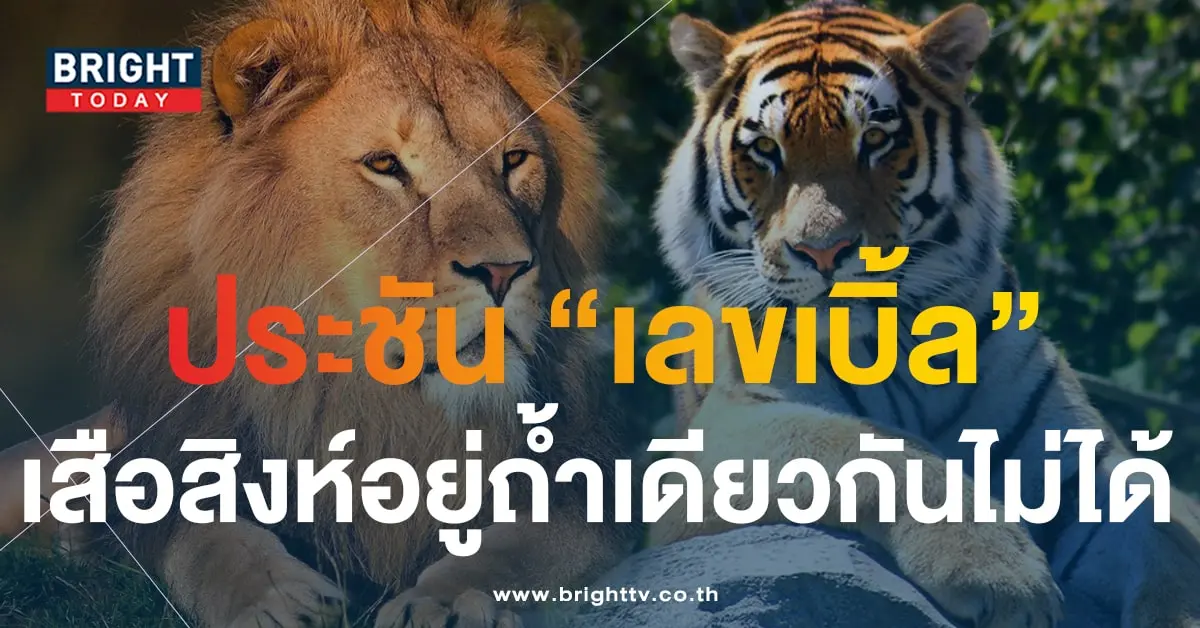 หวยสิงห์เหนือเสือใต้ 16 9 66-min