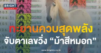 หวย ม้าสีหมอก 16 9 66-min