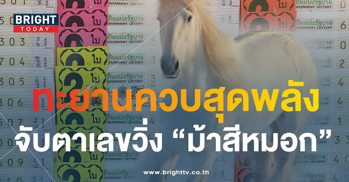 หวย ม้าสีหมอก 16 9 66-min