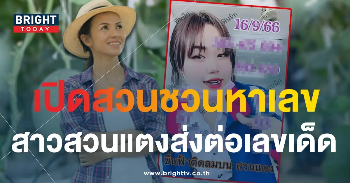 เลขเด็ด หวยสาวสวนแตง 16 9 66-1-min