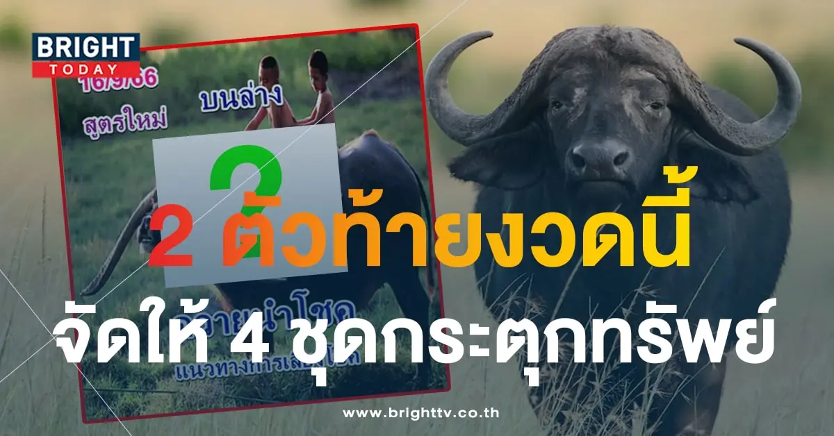 เลขเด็ด หวยควายนำโชค 16 9 66-1-min