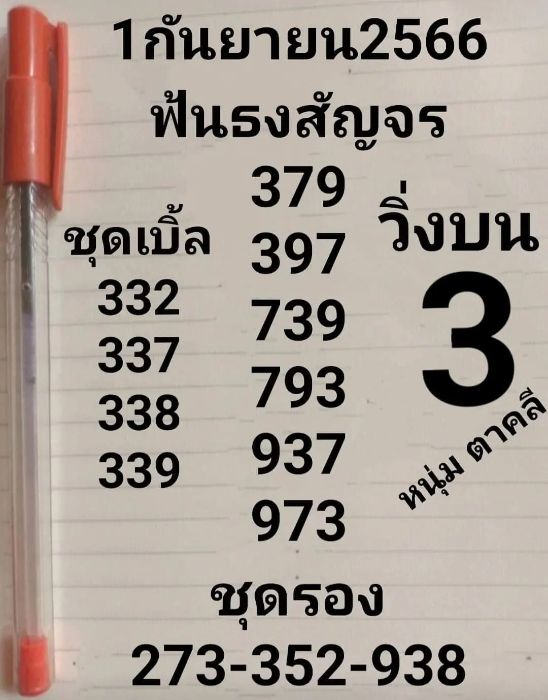 หนุ่มตาคลี