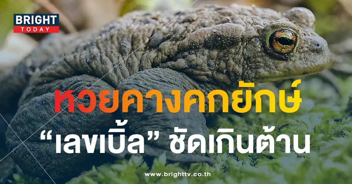 หวยพญาคันคาก 1 11 66-min