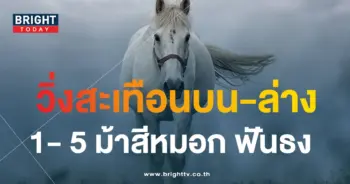 ม้าสีหมอก 1 11 66-min