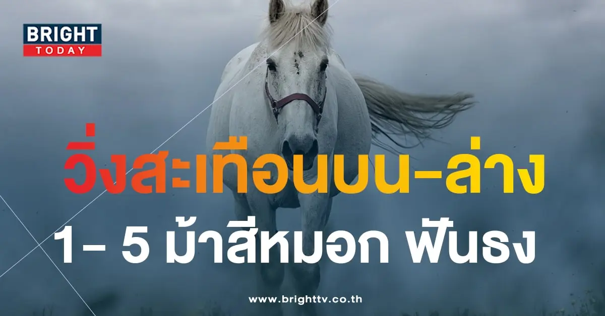 ม้าสีหมอก 1 11 66-min