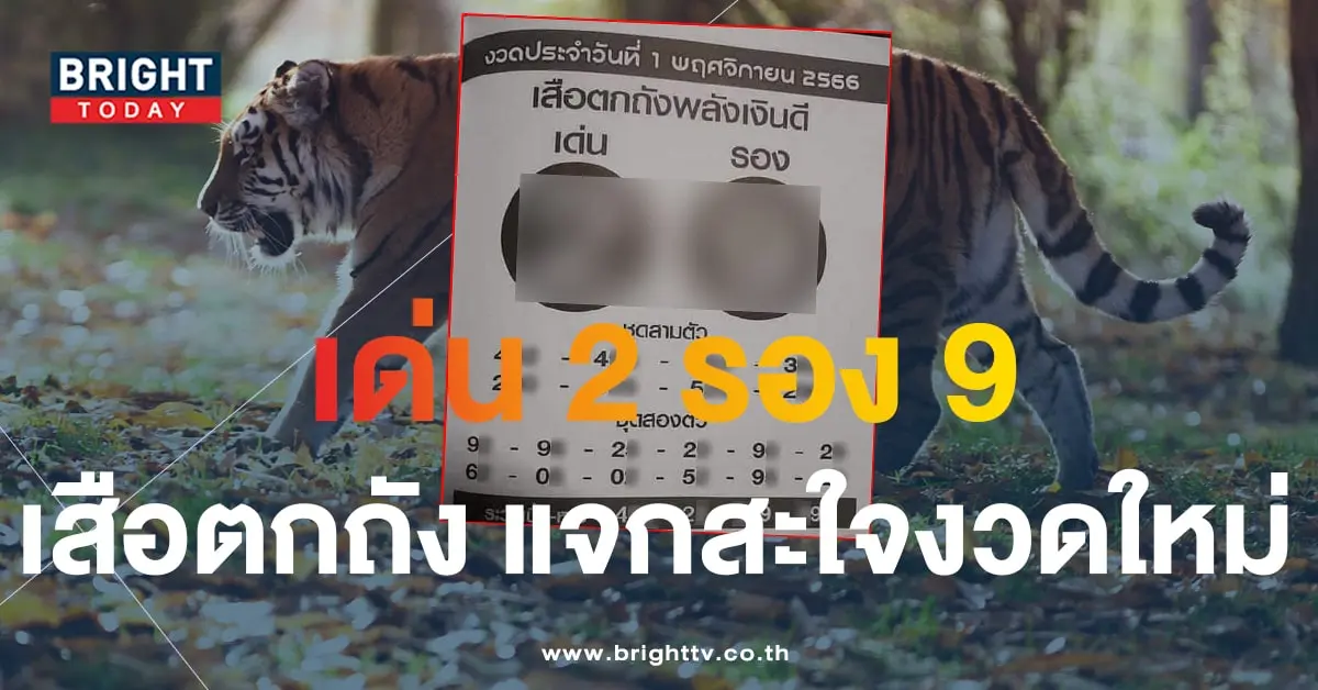 เสือตกถังพลังเงินดี 1 11 66-min