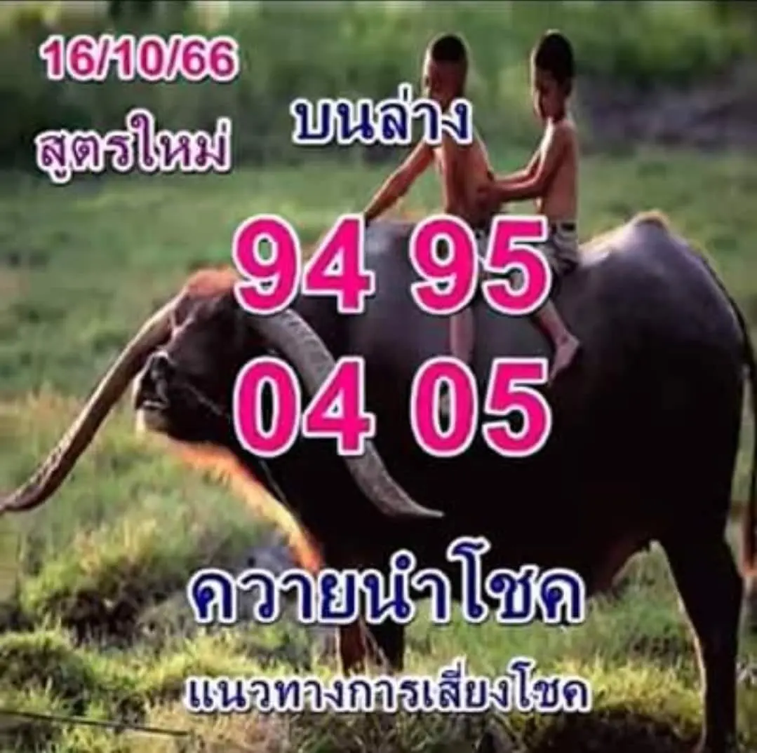 เลขเด็ด-หวยควายนำโชค-16-10-66-1-min