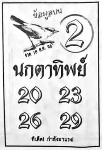 นกตาทิพย์