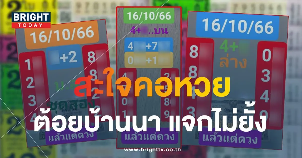 ต้อยบ้านนา 5-min