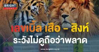 หวยสิงห์เหนือเสือใต้ 16 10 66-min