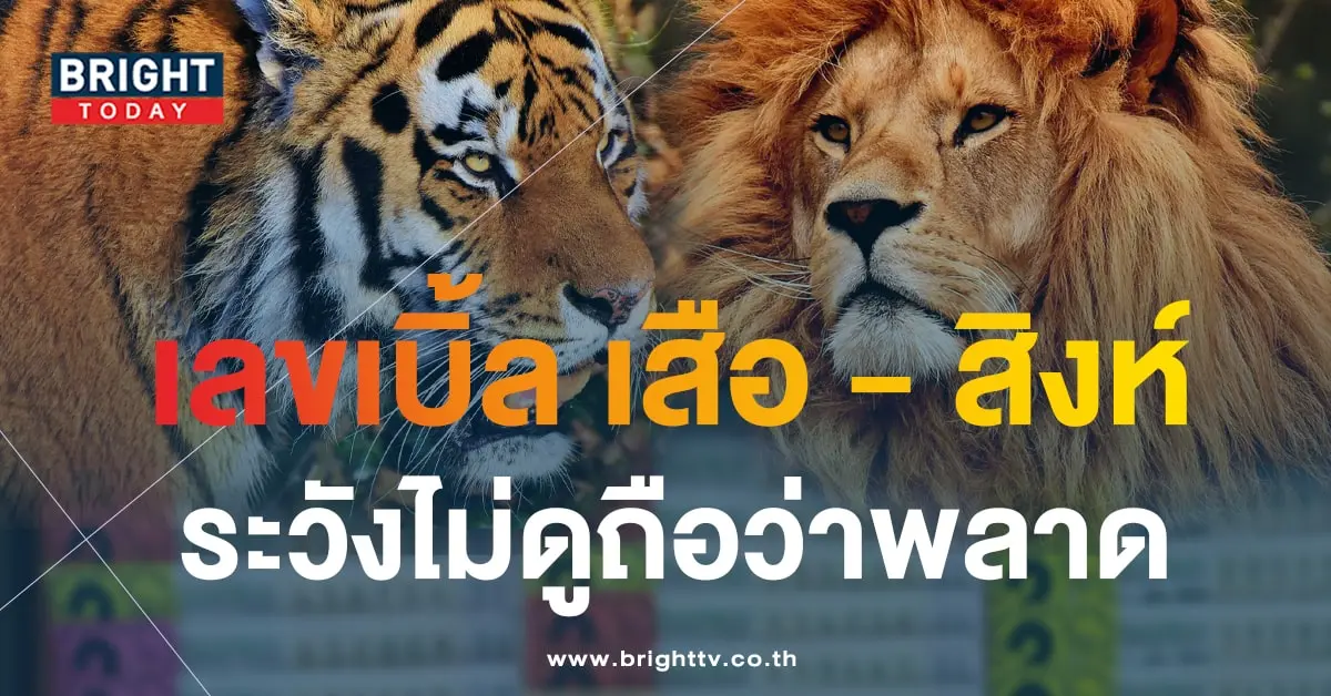 หวยสิงห์เหนือเสือใต้ 16 10 66-min