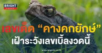 หวย พญาคันคาก 16 10 66-min