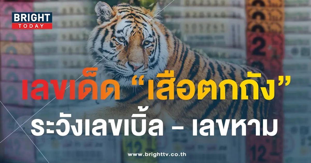 เสือตกถังพลังเงินดี 16 10 66-min