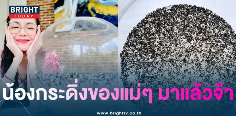 เลขเด็ด อ๋อม สกาวใจ เลขเด็ด น้องกระดิ่ง 1 12 66-min