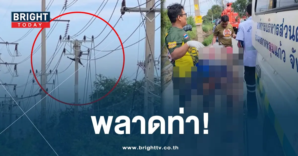 จนท-ปก-min