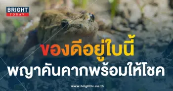 เลขเด็ด พญาคันคาก 1 12 66-1-min