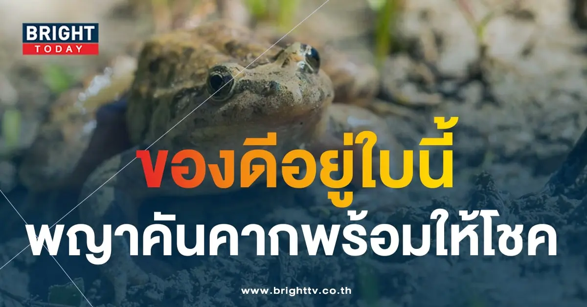 เลขเด็ด พญาคันคาก 1 12 66-1-min