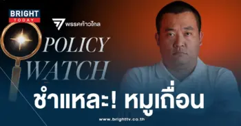 หมูเถื่อน 171166-min