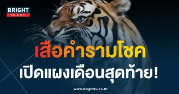 เสือตกถังพลังเงินดี 16 11 66-1-min