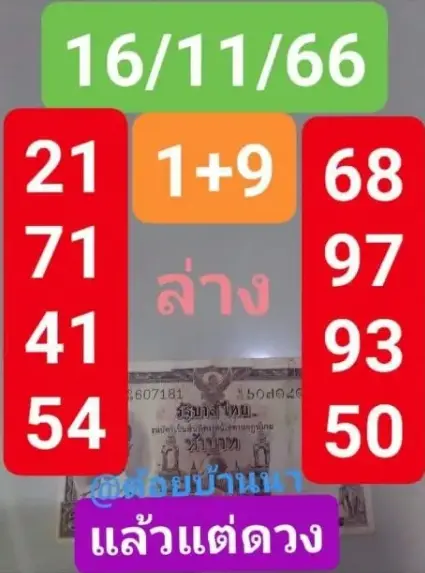 ต้อยบ้านนา-2