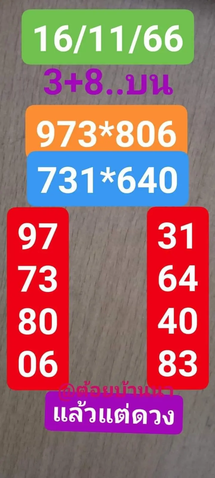 ต้อยบ้านนา-16-11-66
