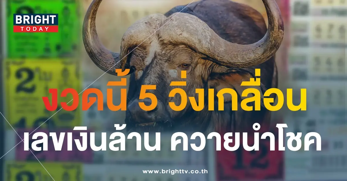 ควายนำโชค 16 11 66-min