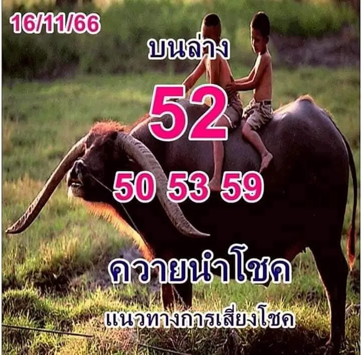 ควายนำโชค