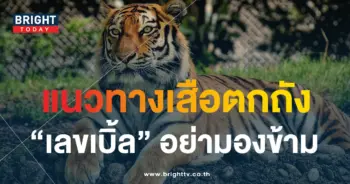 เสือตกถังพลังเงินดี 16 11 66-min