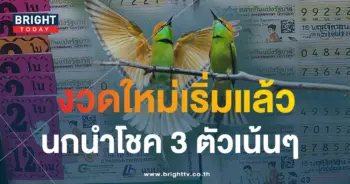นกนำโชค 16 11 66-min