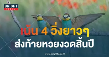 เลขเด็ด นกตาทิพย์ 30 12 66-1-min