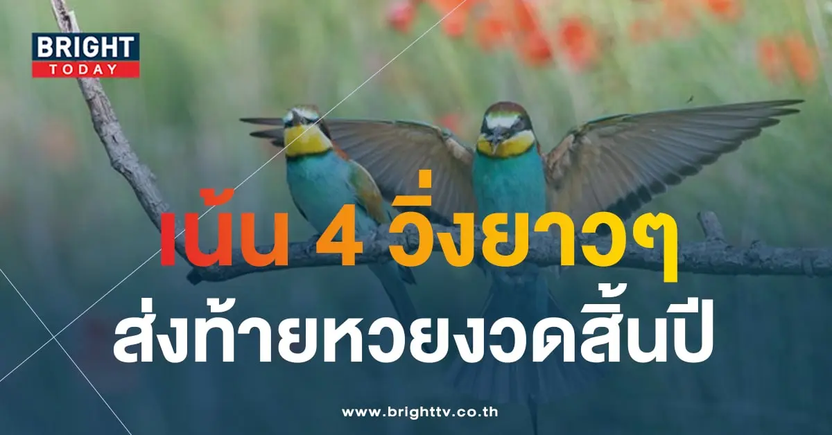 เลขเด็ด นกตาทิพย์ 30 12 66-1-min