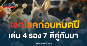 เลขเด็ด กระต่ายน้อยนำโชค 30 12 66-1-min