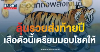 เลขเด็ด เสือตกถังพลังเงินดี 30 12 66-1-min
