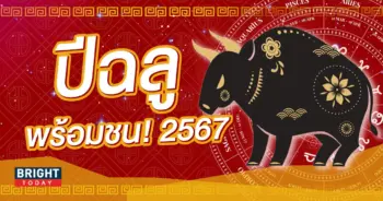 ปีฉลู ปีชง 2567-min (1)