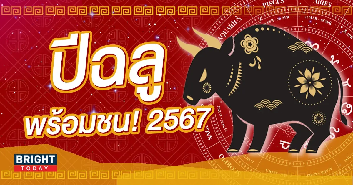 ปีฉลู ปีชง 2567-min (1)