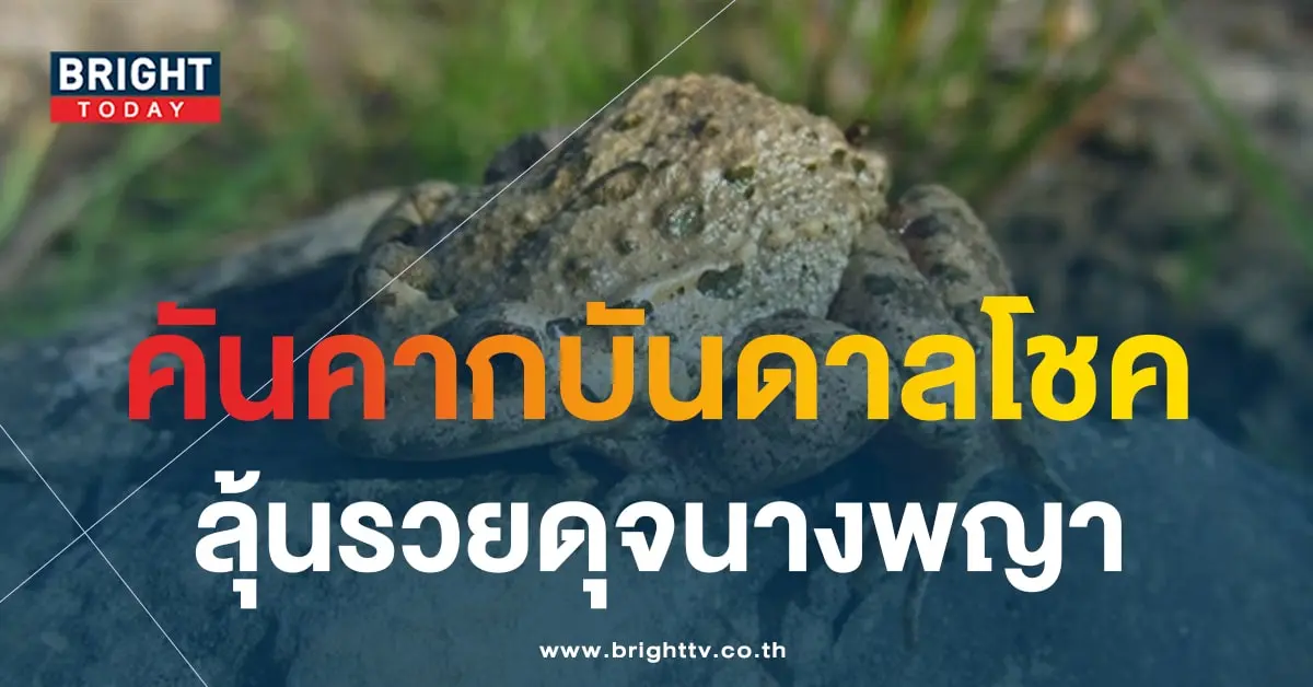 เลขเด็ด พญาคันคาก 1 2 67-1-min