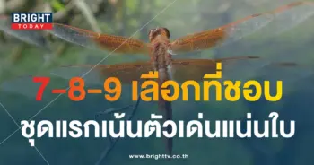 เลขเด็ด แมงปอ 1 2 67-1-min