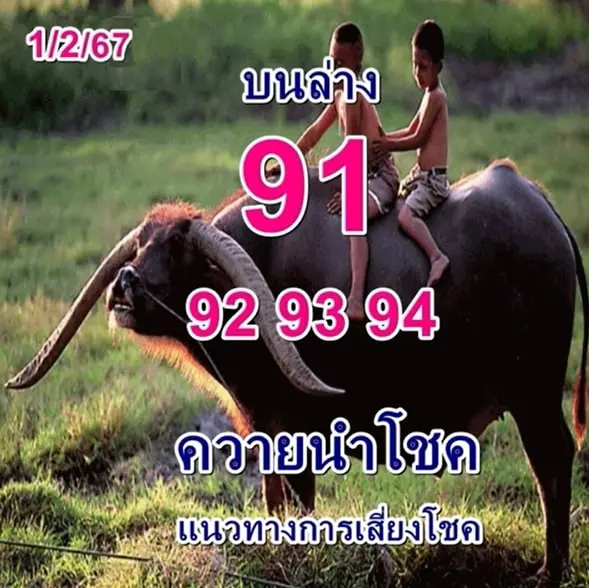 เลขเด็ด ควายนำโชค 1 2 67-min