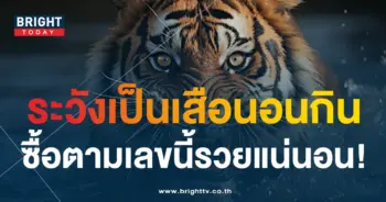 เสือตกถังพลังเงินดี 1 2 67-min