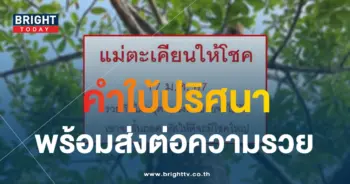 เลขเด็ด แม่ตะเคียนให้โชค 17 1 67-1-min