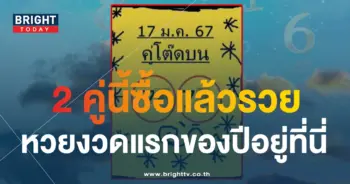 หวยใบเหลือง คู่โต๊ดบน 17 1 67-1-min