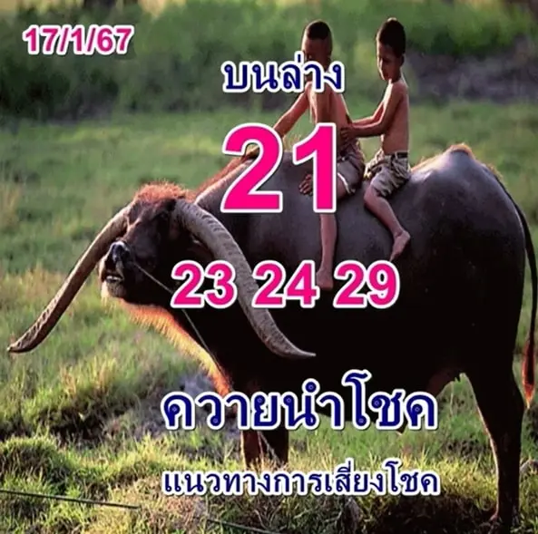 เลขเด็ด-หวยควายนำโชค-17-1-67-min
