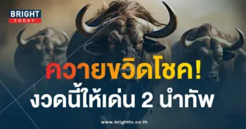 เลขเด็ด หวยควายนำโชค 17 1 67-1-min