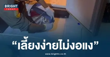 นิสัยน้องนาย-min