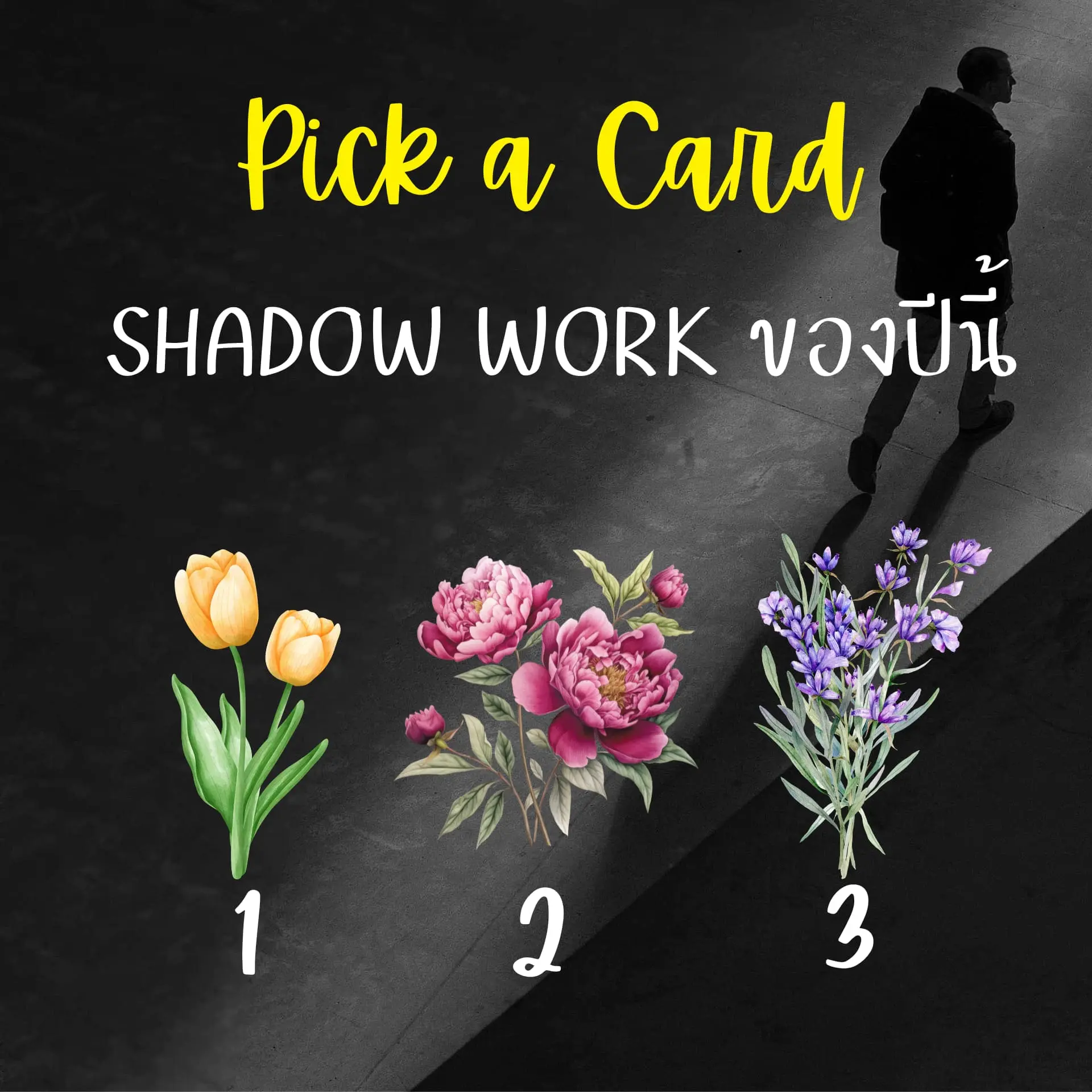 Pick-a-card-min-5