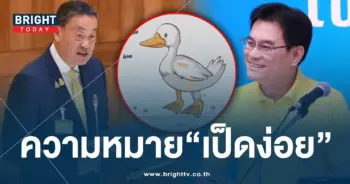 เป็ดง่อย-min