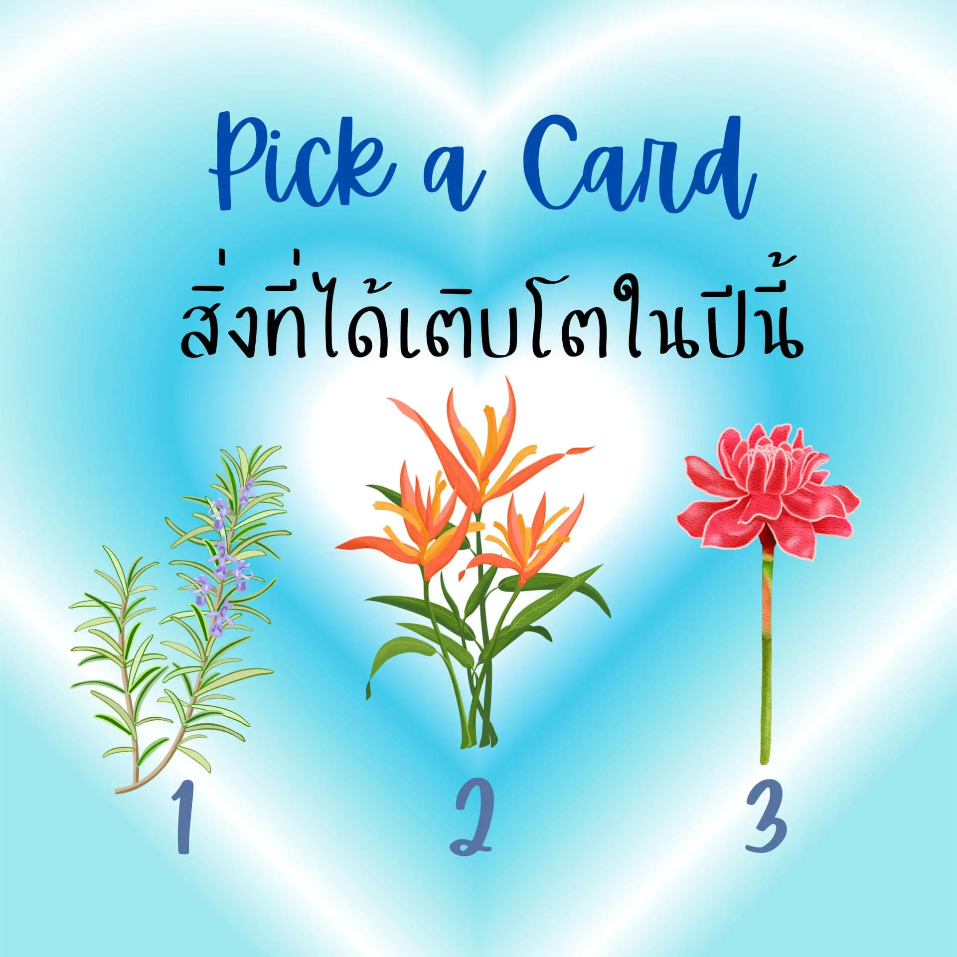 Pick-a-card-min-2